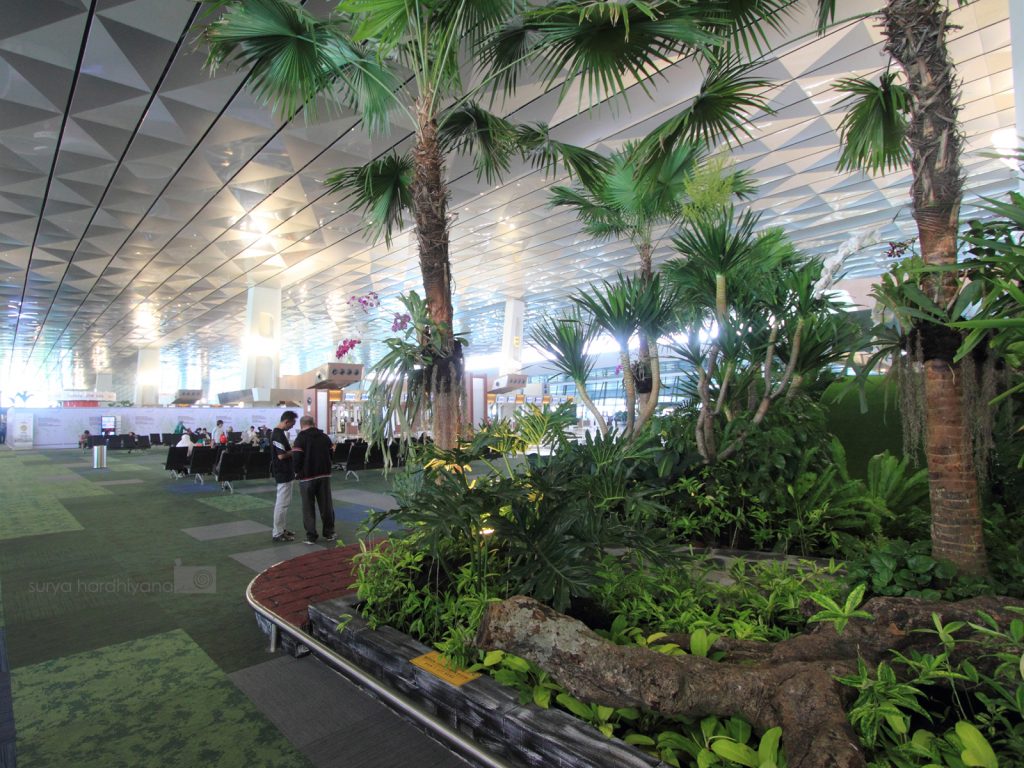Terminal 3 Ultimate Bandara Seokarno-Hatta Taman Di Sekitar Area Check In