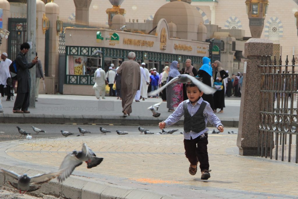 Anak-anak bermain dengan merpati di halaman Masjid Nabawi
