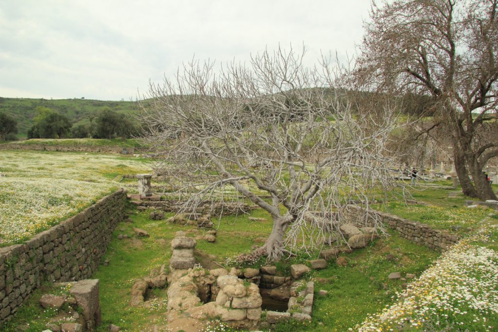 Beberapa sumur yang dulu dikeramatkan di Asklepion, Pergamon, Turki
