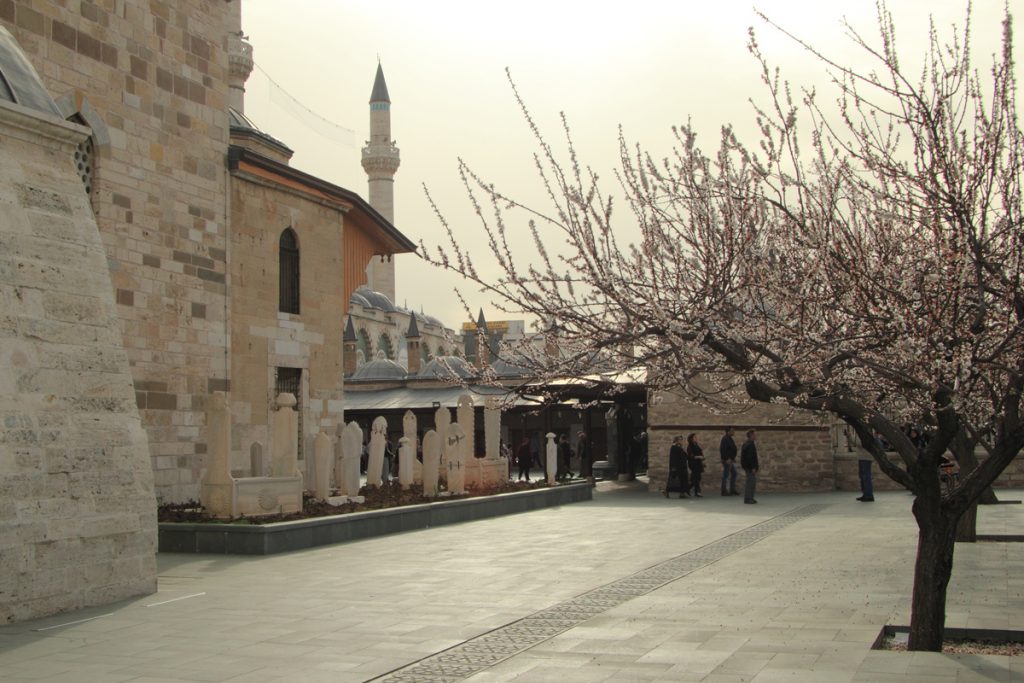 Bunga Mirip Sakura di Mevlana Museum, Konya