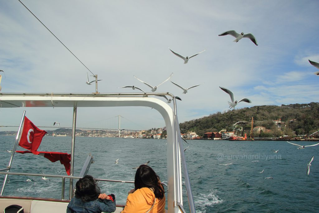 Burung-burung Camar yang mengikuti pelayaran Bosphorus Cruise